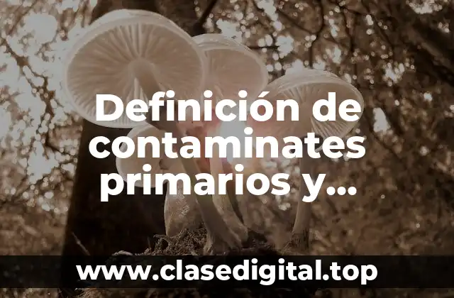 Definición de contaminates primarios y secundarios