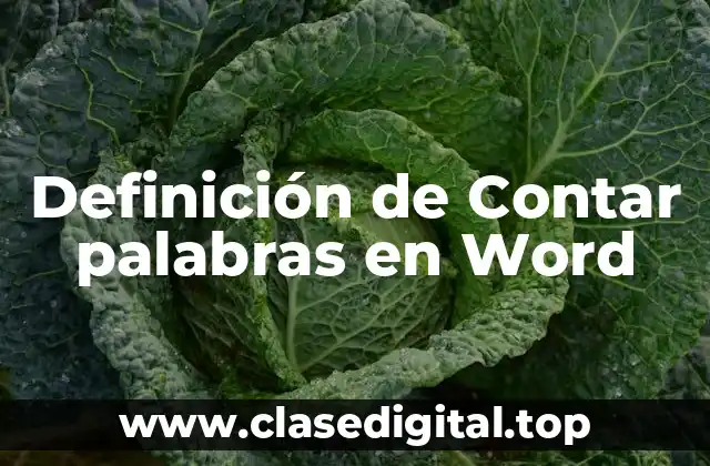 Definición de Contar palabras en Word