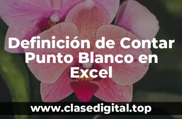 Definición de Contar Punto Blanco en Excel