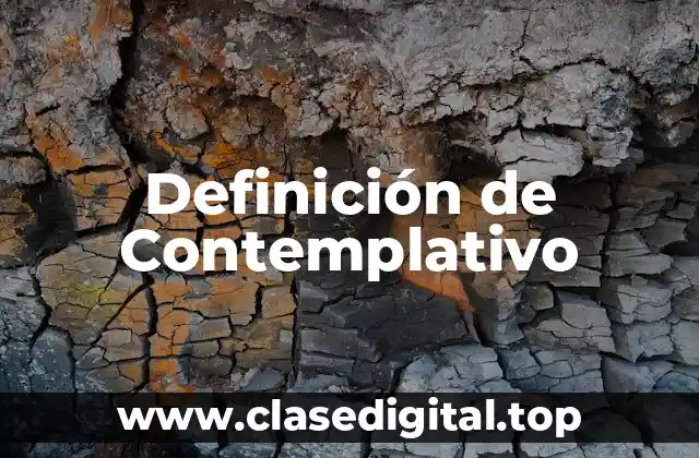 Definición de Contemplativo