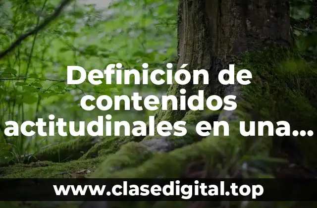 Definición de contenidos actitudinales en una planificación