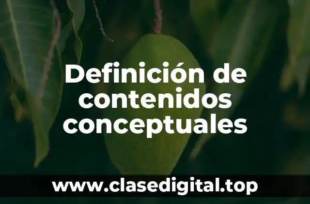 Definición de contenidos conceptuales