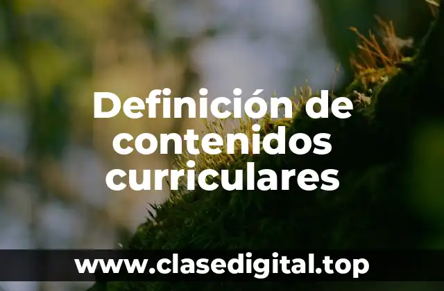 Definición de contenidos curriculares