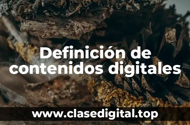 Definición técnica de contenidos digitales