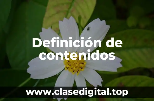 Definición técnica de contenidos