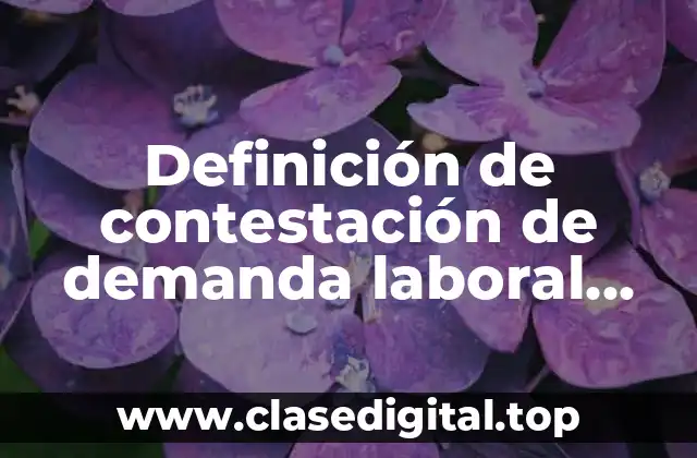 Definición de contestación de demanda laboral ecepciones