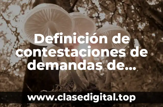 Definición de contestaciones de demandas de divorcio