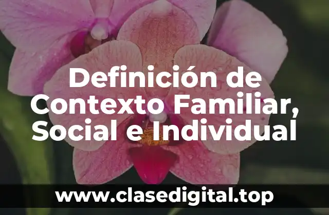 Definición de Contexto Familiar, Social e Individual