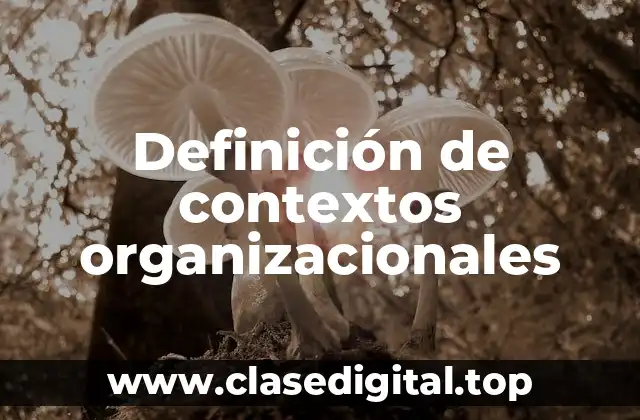 Definición de contextos organizacionales