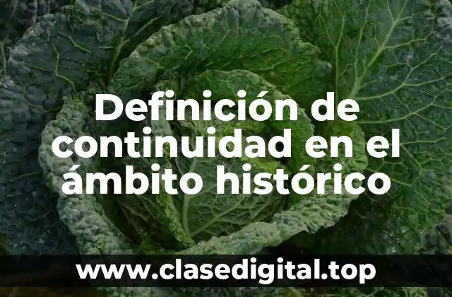 Definición de continuidad en el ámbito histórico