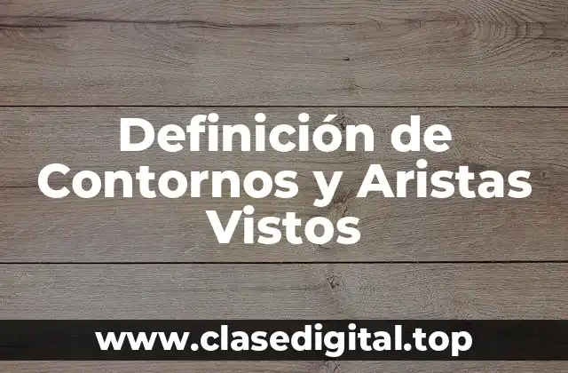 Definición de Contornos y Aristas Vistos