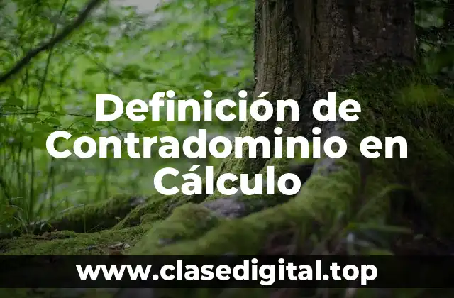 Definición de Contradominio en Cálculo