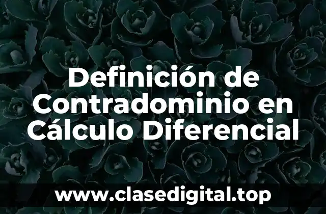 Definición de Contradominio en Cálculo Diferencial