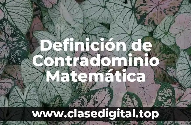 Definición técnica de Contradominio Matemática