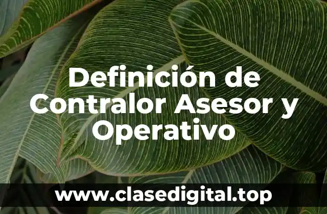 Definición de Contralor Asesor y Operativo