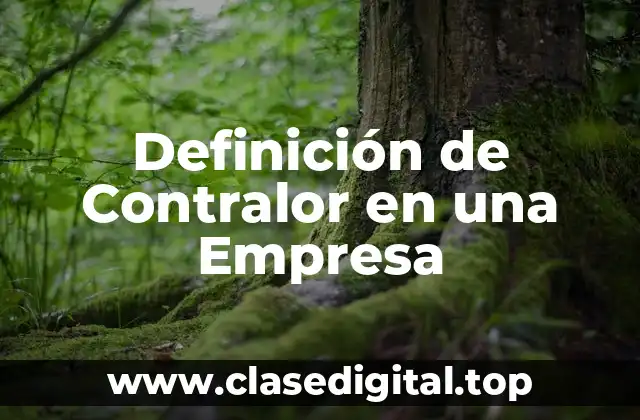 Definición de Contralor en una Empresa