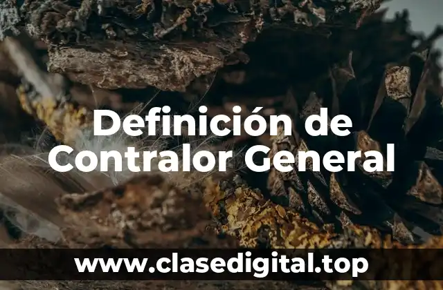 Definición de Contralor General