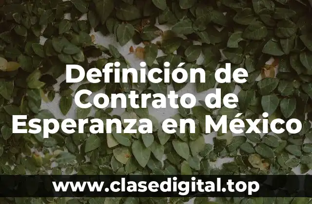 Definición de Contrato de Esperanza en México