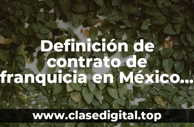 Ejemplos de contrato de franquicia en México lleno