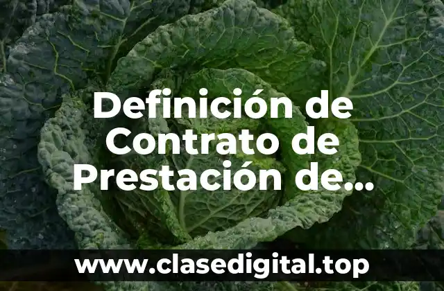 Definición de Contrato de Prestación de Servicios Profesionales