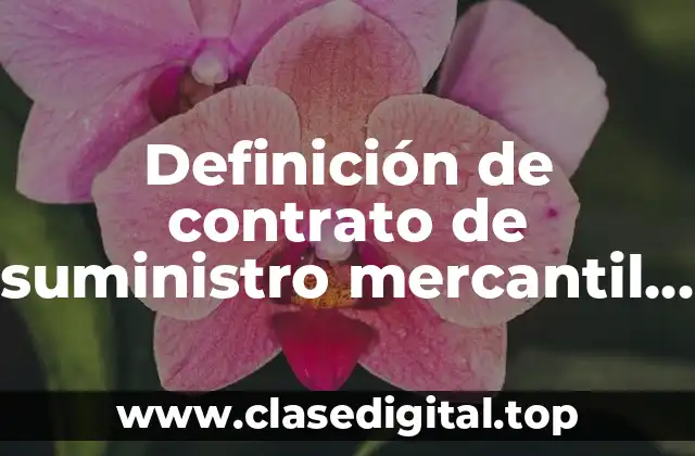 Definición de contrato de suministro mercantil en México