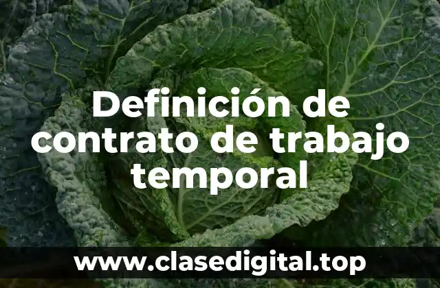Ejemplos de contrato de trabajo temporal