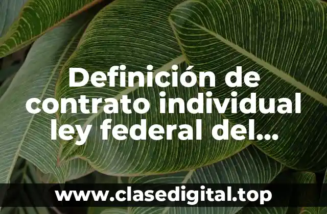 Definición de contrato individual ley federal del trabajo