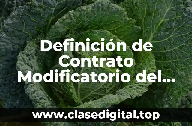 Definición de Contrato Modificatorio del Anexo