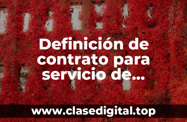 Definición de contrato para servicio de pirotecnia