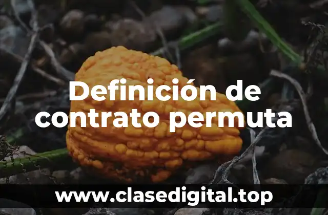 Definición de contrato permuta