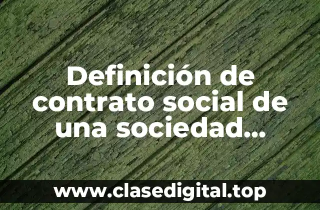 Definición de contrato social de una sociedad anonima