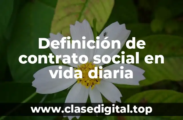 Definición de contrato social en vida diaria