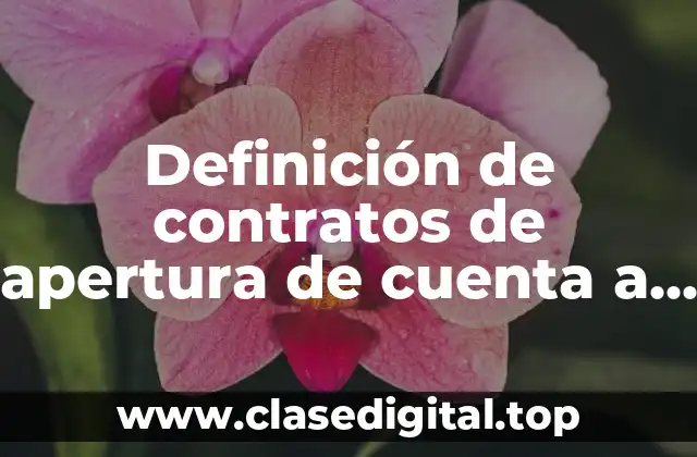 Definición de contratos de apertura de cuenta a la vista