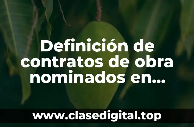 Definición de contratos de obra nominados en México