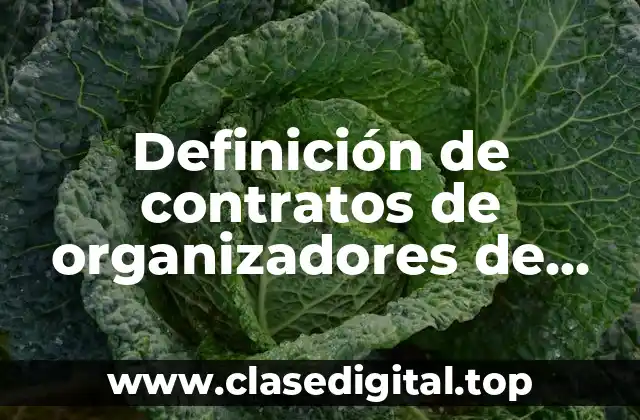 Ejemplos de contratos de organizadores de eventos