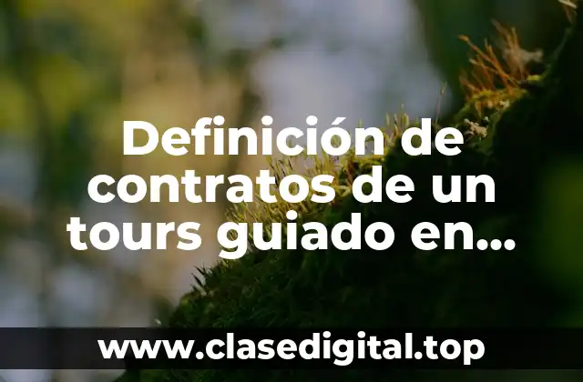 Definición de contratos de un tours guiado en México