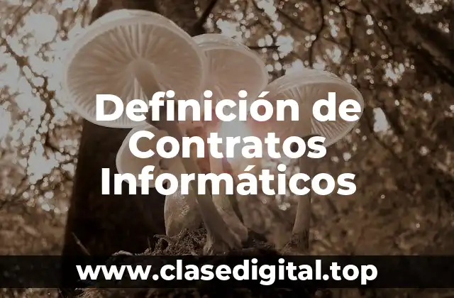 Definición de Contratos Informáticos