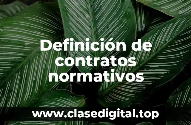 Ejemplos de contratos normativos
