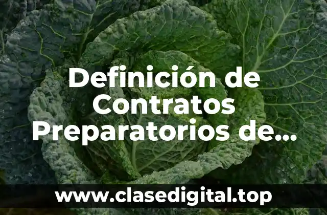 Definición de Contratos Preparatorios de Promesa