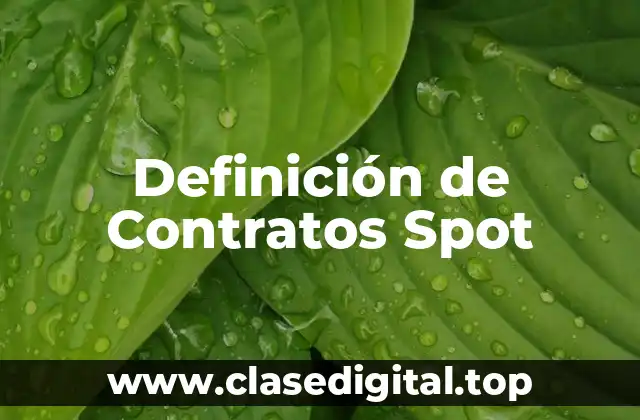 Definición de Contratos Spot