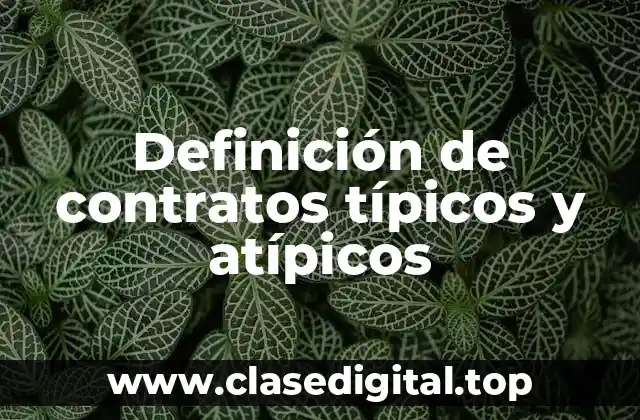 Ejemplos de contratos típicos