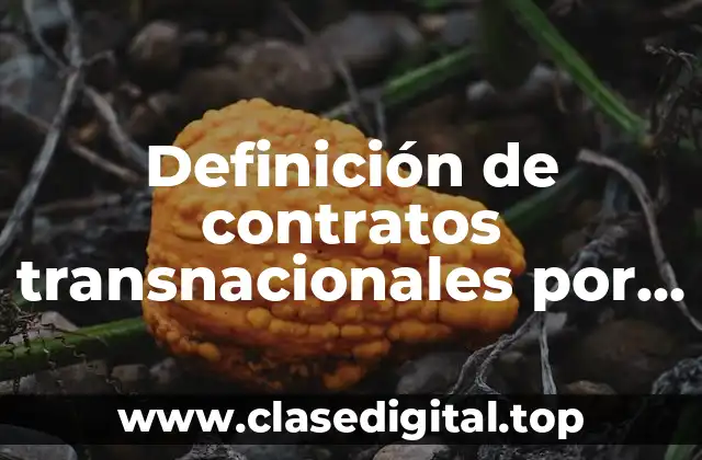 Definición técnica de contratos transnacionales por recursos naturales de Bolivia