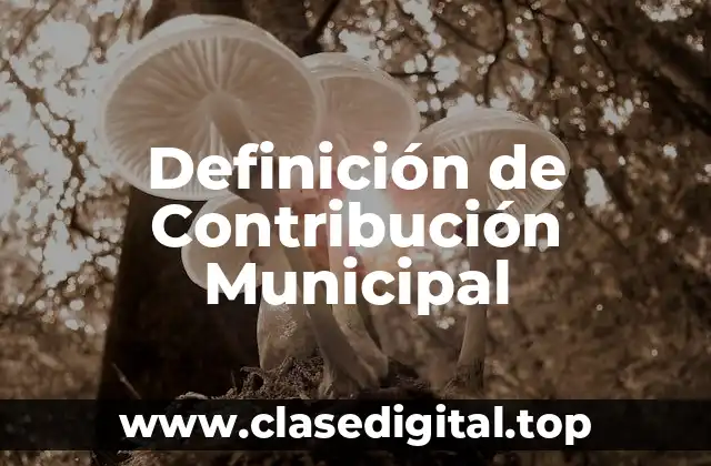 Definición de Contribución Municipal