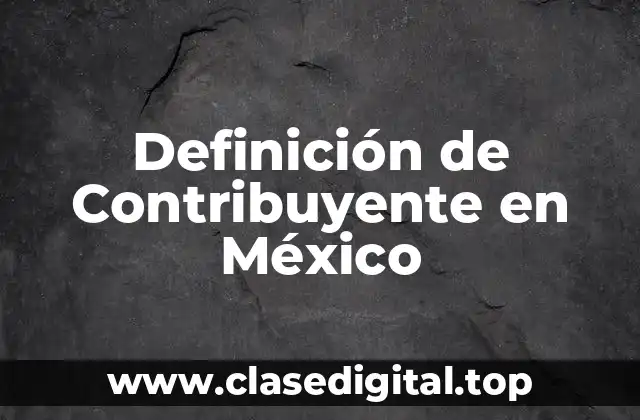 Definición técnica de Contribuyente en México
