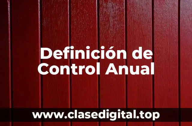 Definición de Control Anual