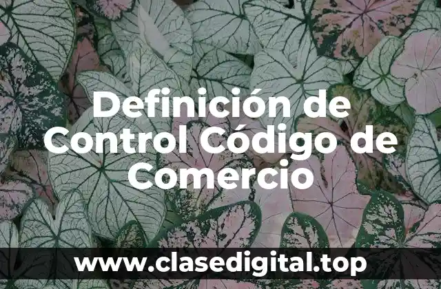 Definición de Control Código de Comercio