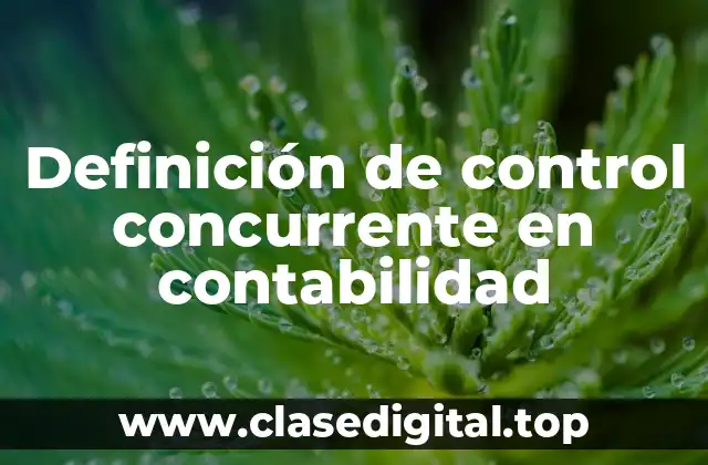 Definición de control concurrente en contabilidad