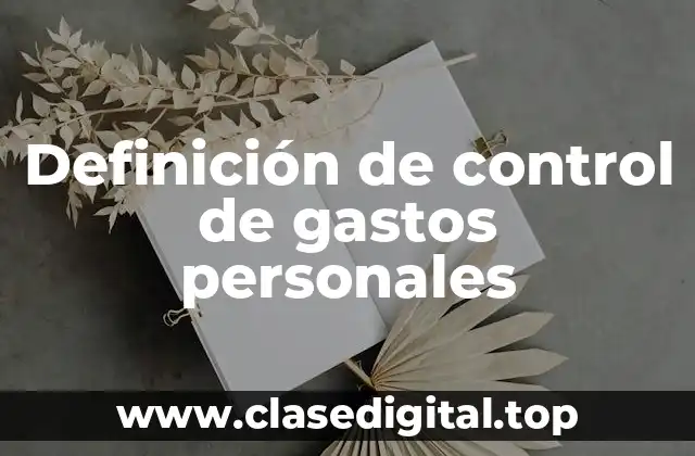 Definición de control de gastos personales
