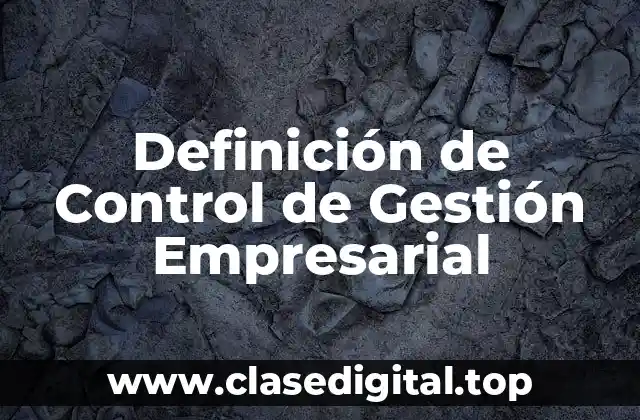 Definición de Control de Gestión Empresarial