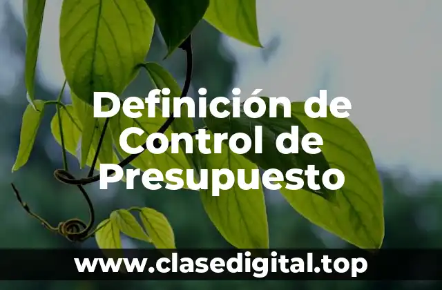 Definición de Control de Presupuesto
